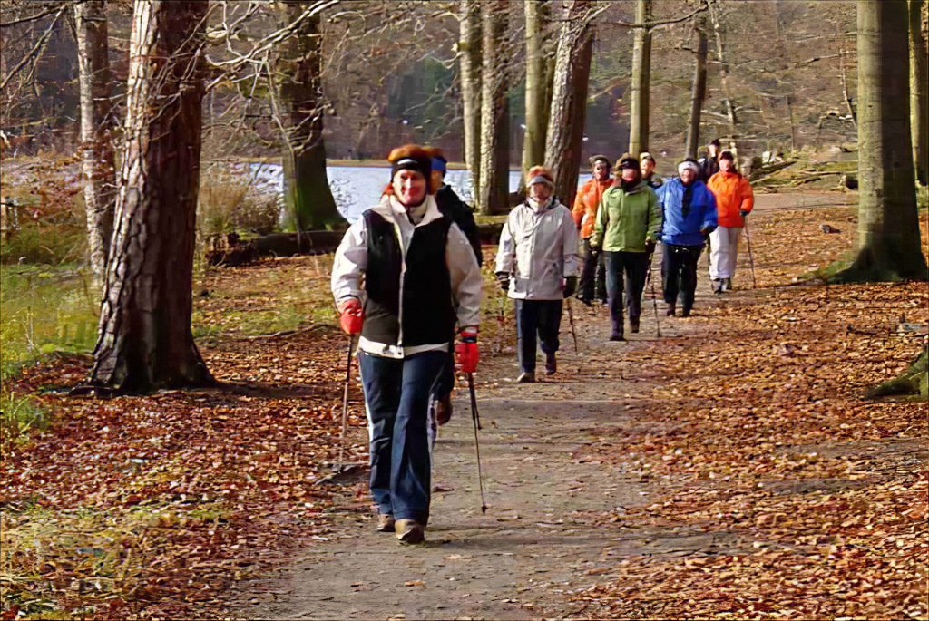 Nordic-Walking